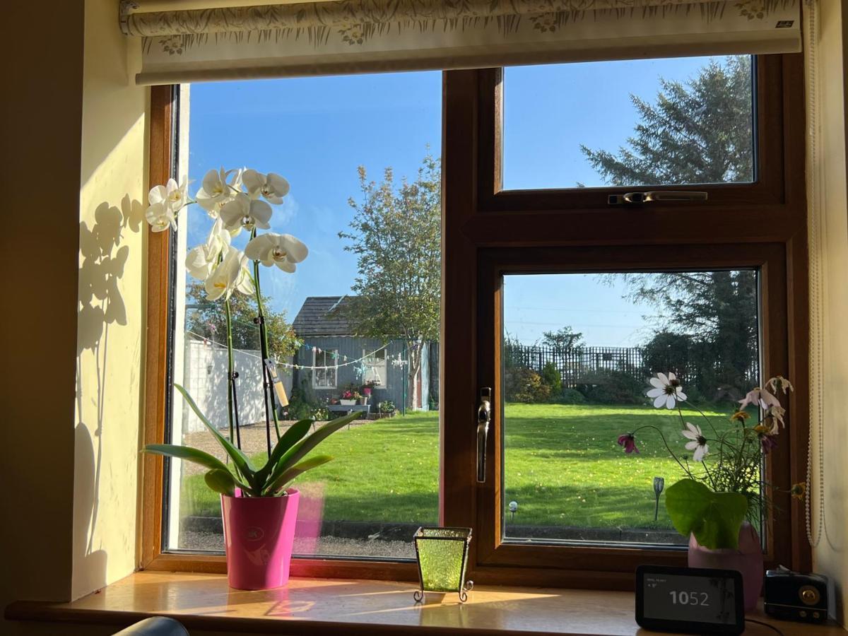 Bed and Breakfast Hillview Enniskerry Zewnętrze zdjęcie